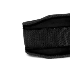 Gorilla Wear Gear 4 Inch Womens Lifting Belt, Black, Large -Sport & Fitness Shop GW 99801 900r 4