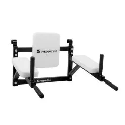 Wall-Mounted Dip Station, InSPORTline