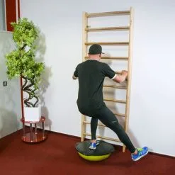 Balance Trainer, Green, InSPORTline -Sport & Fitness Shop IN 17897 2 6