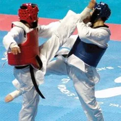 Puslematte, Budo-Nord -Sport & Fitness Shop SB 40007 000 23 4